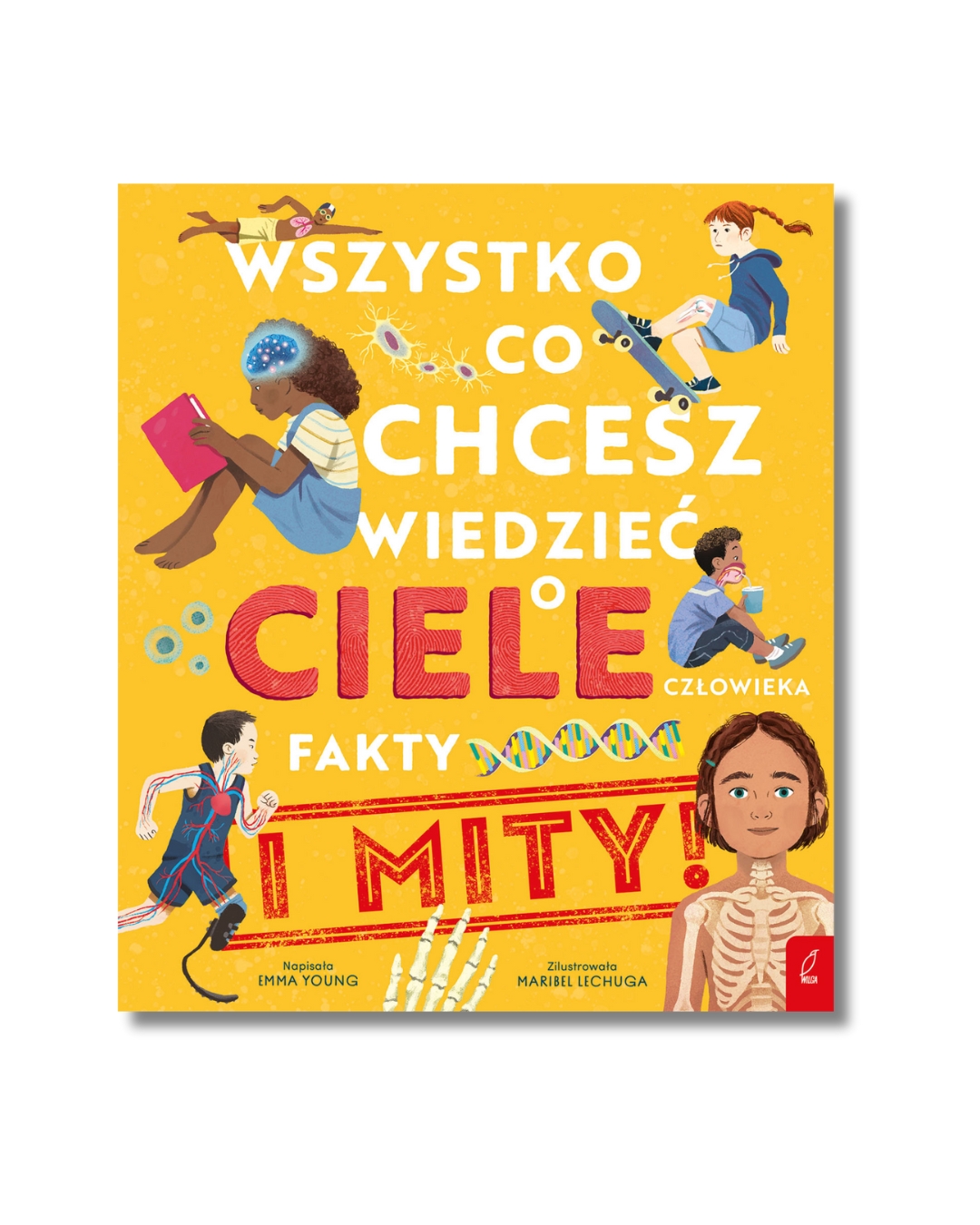 Wydawnictwo Wilga - Wszystko, co chcesz wiedzieć o ciele człowieka. Fakty i mity