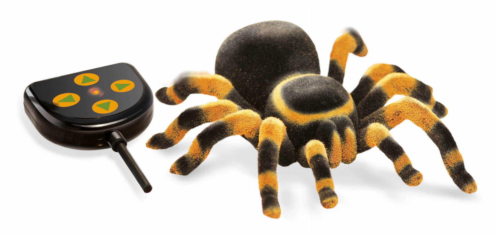 Buki - Tarantula