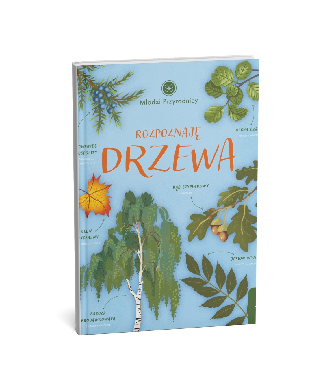 Wydawnictwo Wilga - Rozpoznaję drzewa. Młodzi przyrodnicy