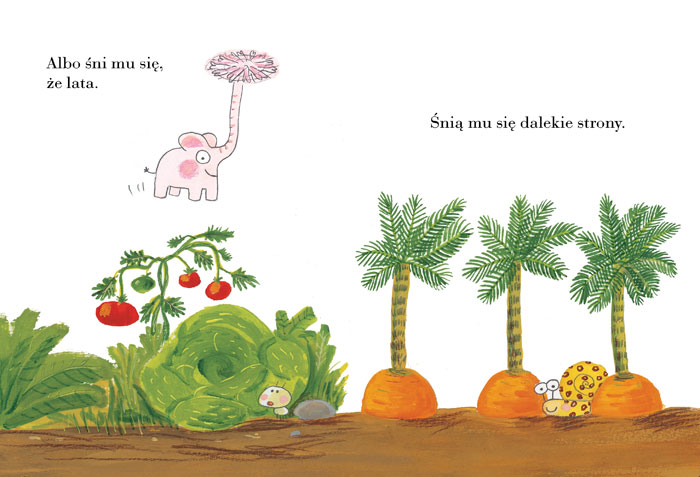 Wydawnictwo Zakamarki - Pomelo śni