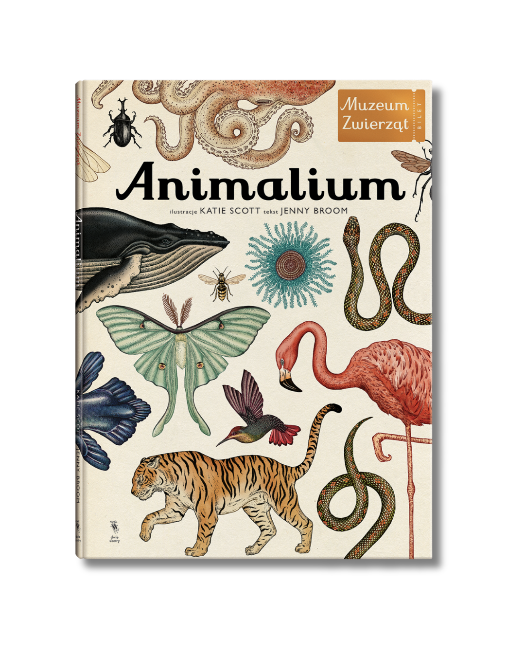 Wydawnictwo Dwie Siostry - Animalium