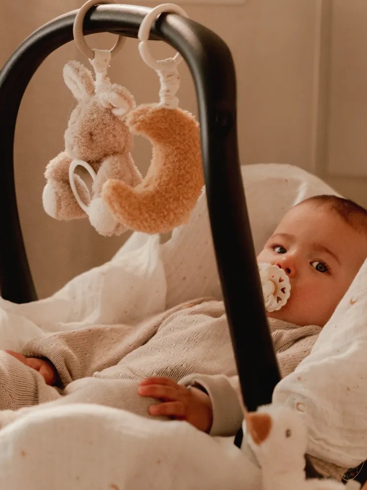 Little Dutch - zawieszka interaktywna do wózka/fotelika Newborn Naturals