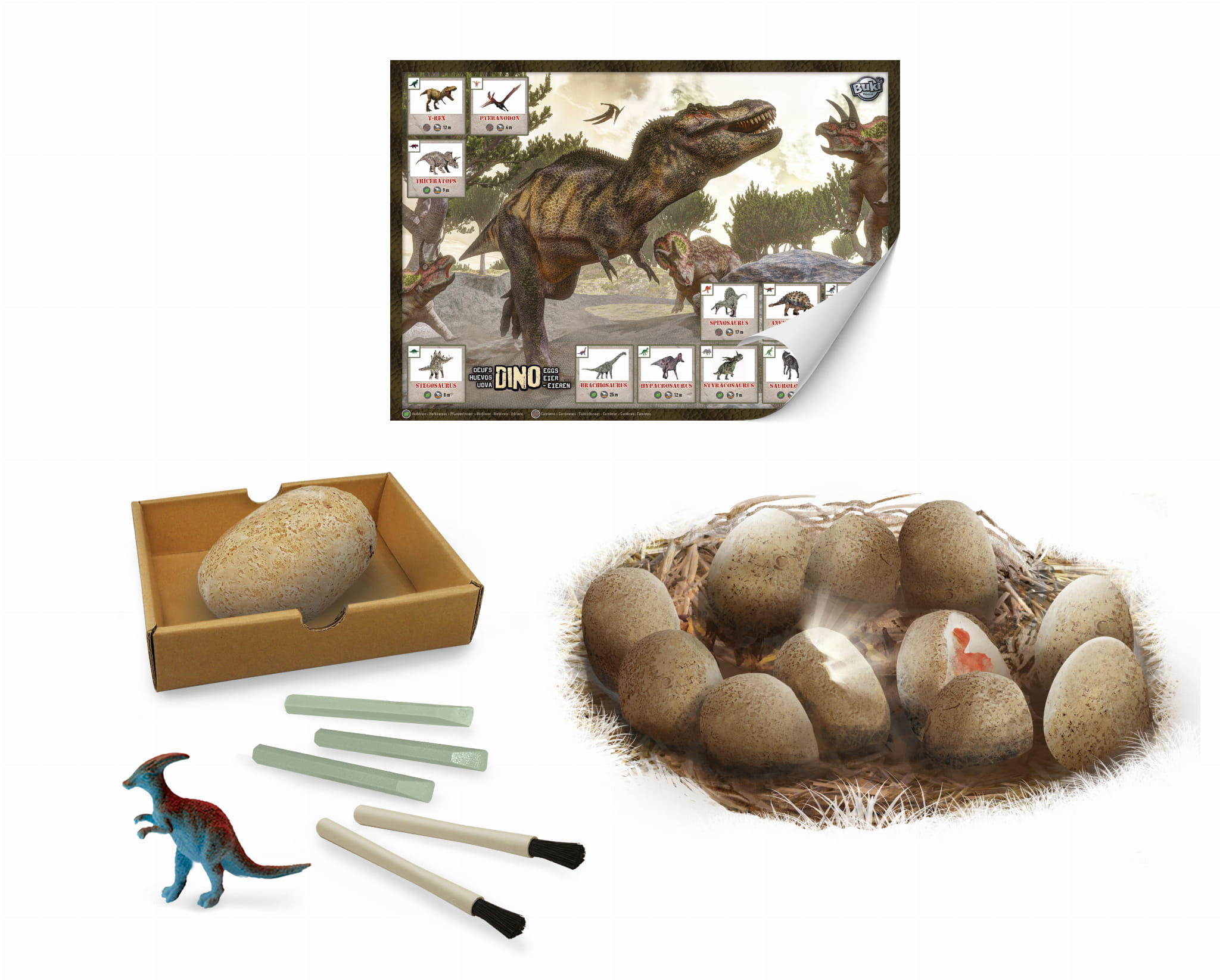 Buki - mega paka jajek dinozaura 12 sztuk