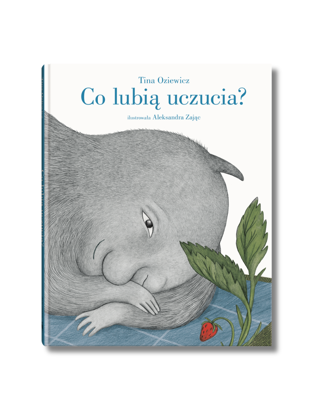 Wydawnictwo Dwie Siostry - Co lubią uczucia