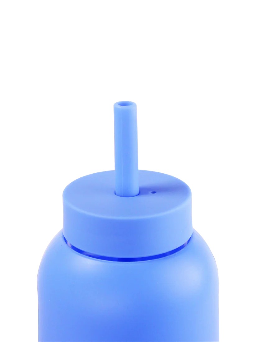 Cornflower
