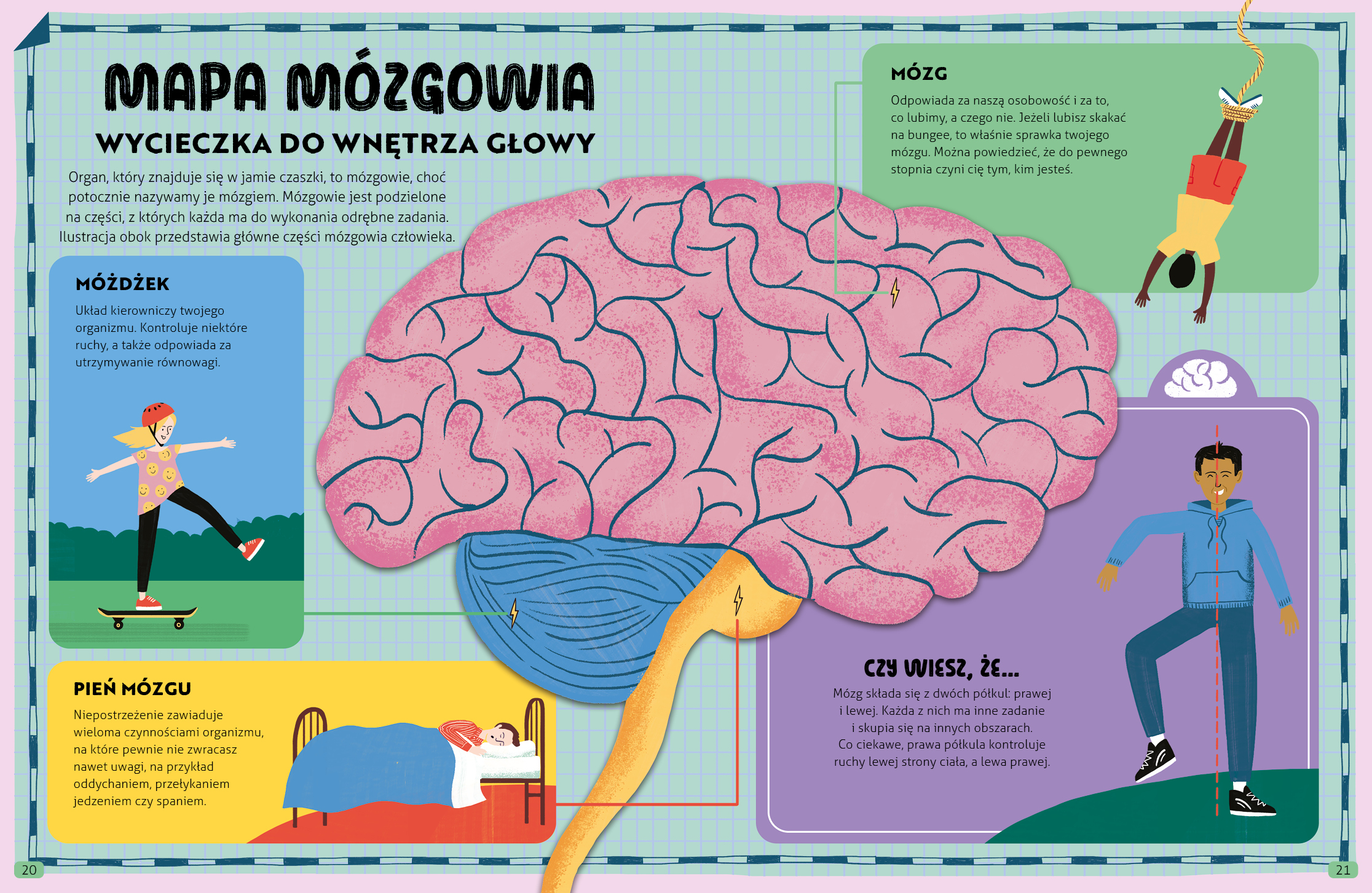 Wydawnictwo Wilga - Wszystko o mózgu