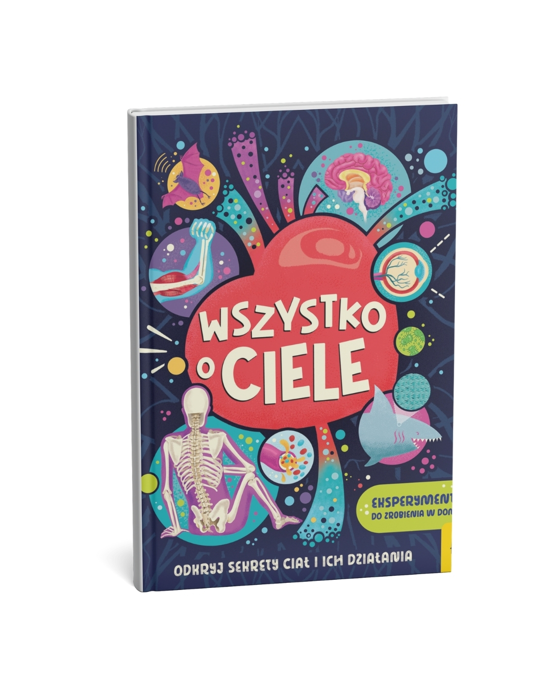 Wydawnictwo Wilga - Wszystko o ciele
