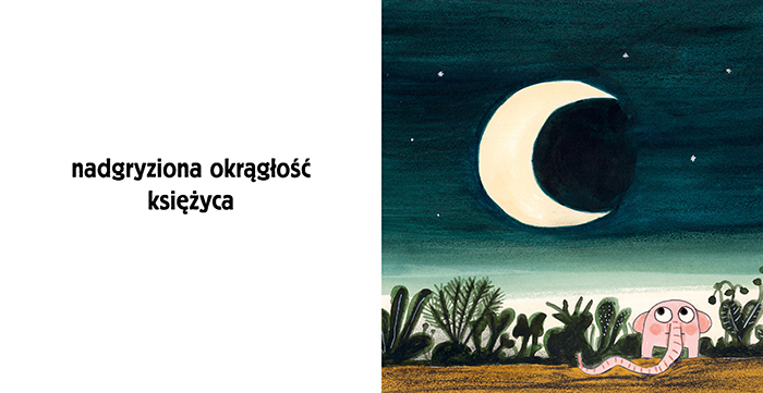 Wydawnictwo Zakamarki - Pomelo i kształty