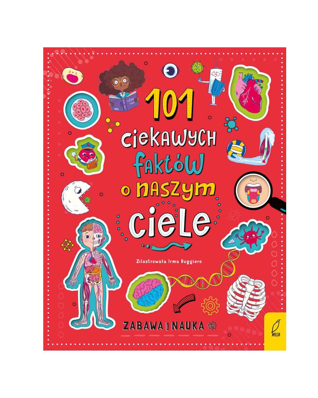 Wydawnictwo Wilga - 101 ciekawych faktów o naszym ciele