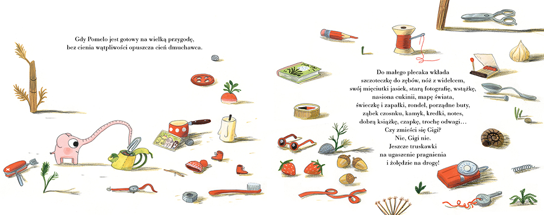 Wydawnictwo Zakamarki - Pomelo i wielka przygoda