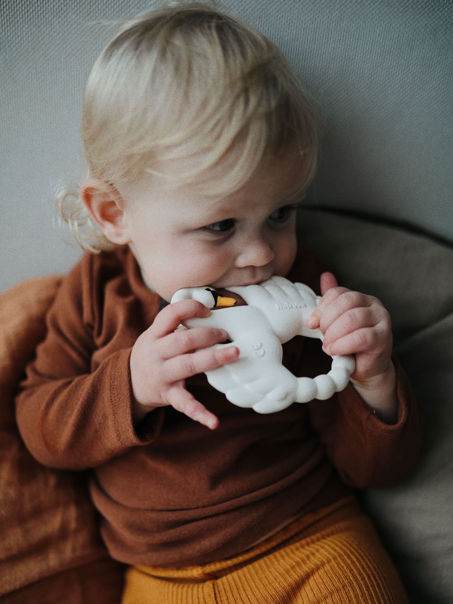 Natruba - gryzak dla dzieci z naturalnego kauczuku Łabędź Natruba - gryzak dla dzieci z naturalnego kauczuku Łabędź