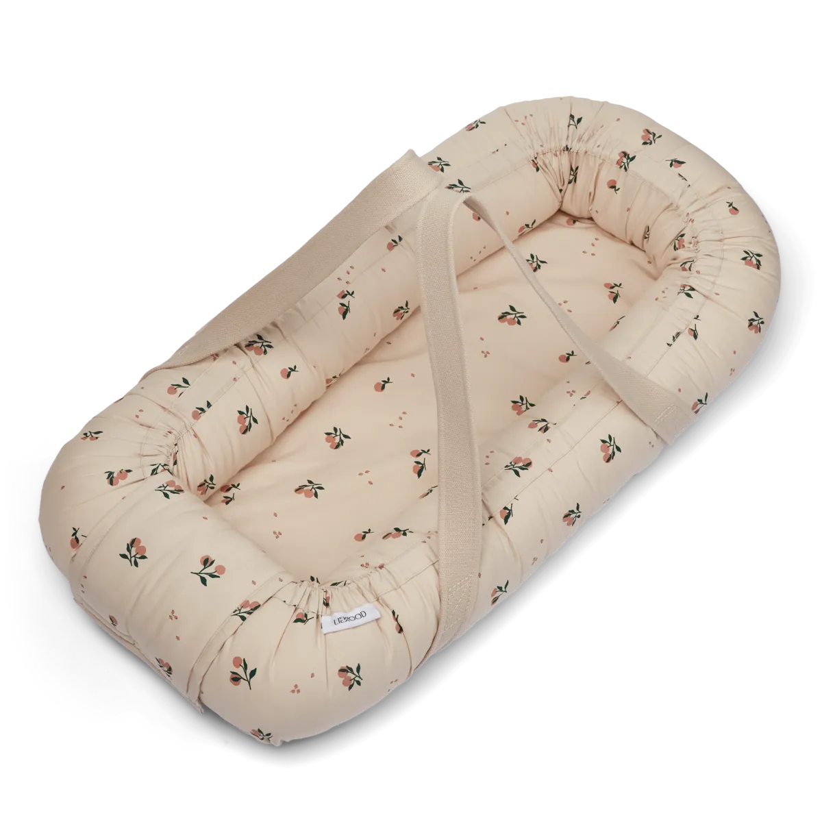  Sea Shell