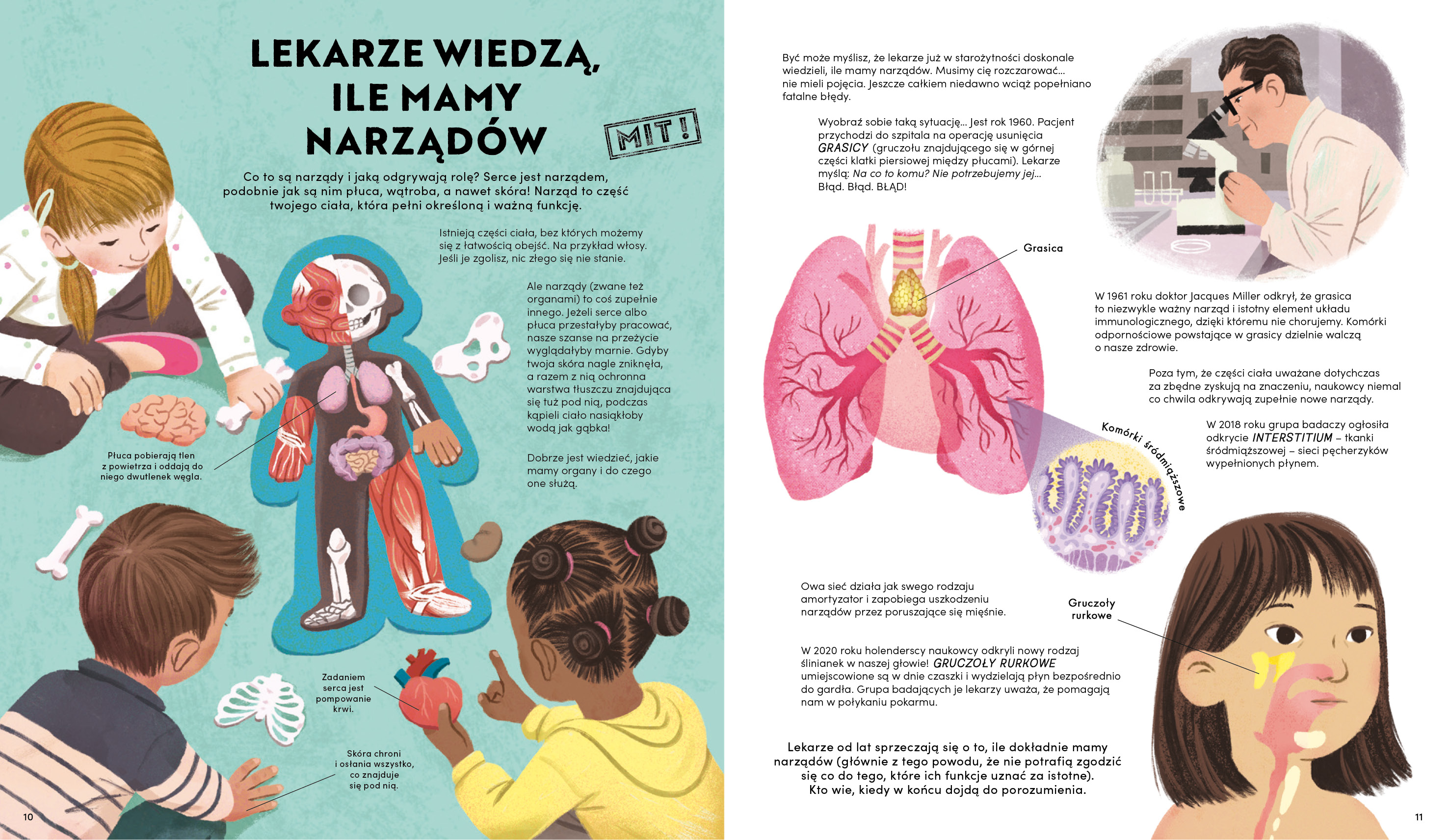 Wydawnictwo Wilga - Wszystko, co chcesz wiedzieć o ciele człowieka. Fakty i mity