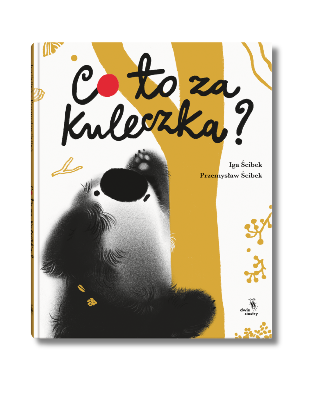 Wydawnictwo Dwie Siostry - Co to za kuleczka?