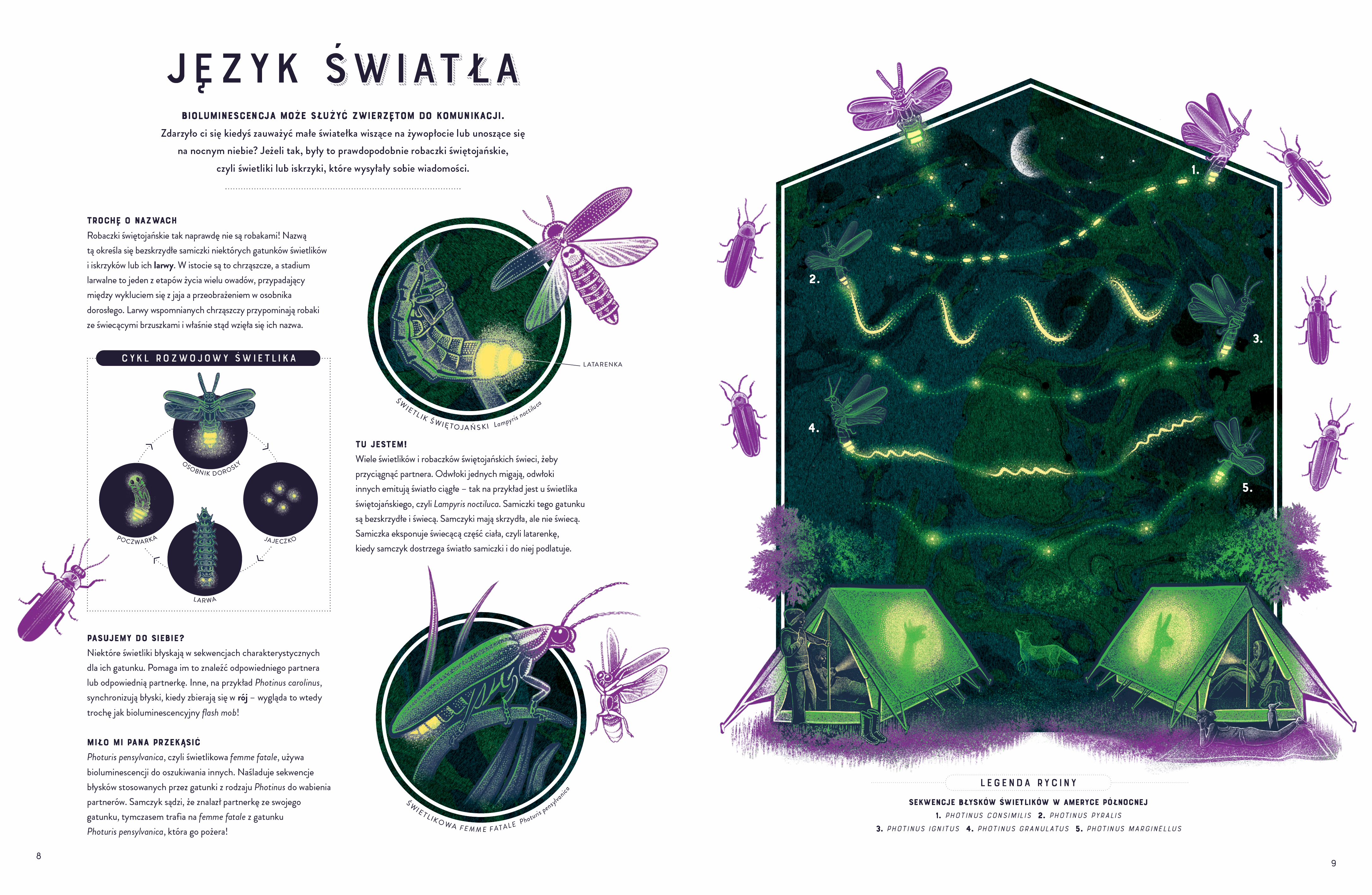 Wydawnictwo Wilga - Blask