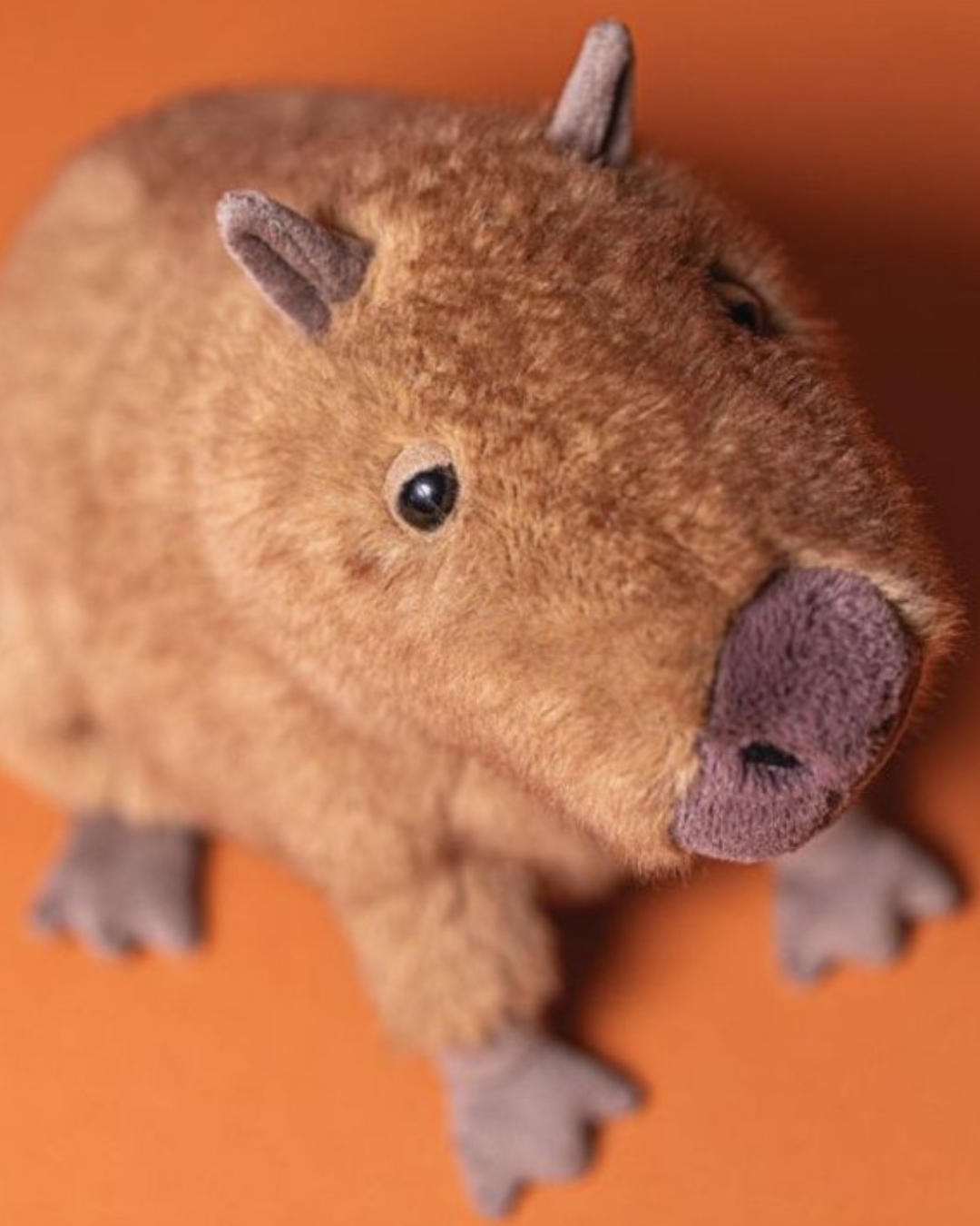 JellyCat - kapibara 24 cm