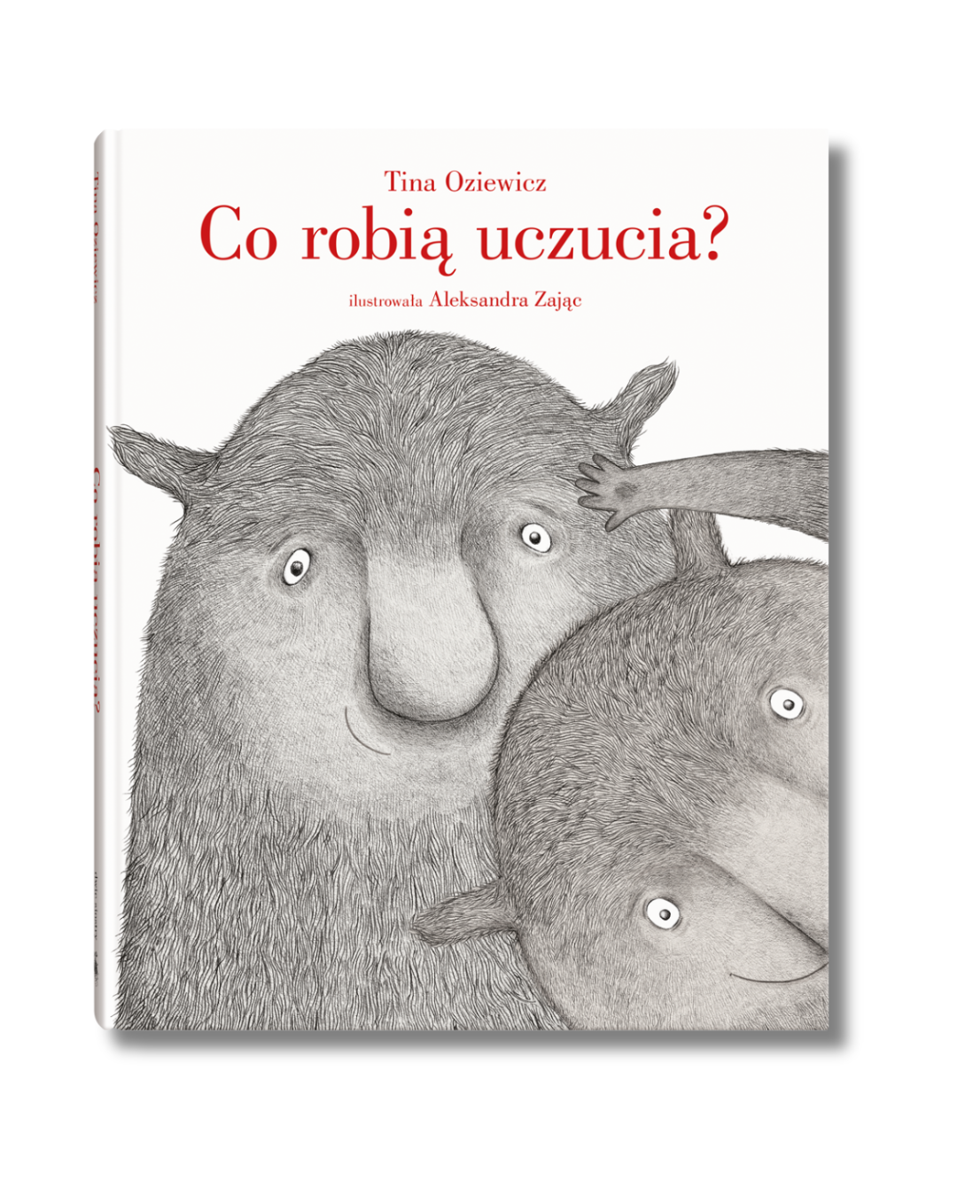 Wydawnictwo Dwie Siostry - Co robią uczucia?