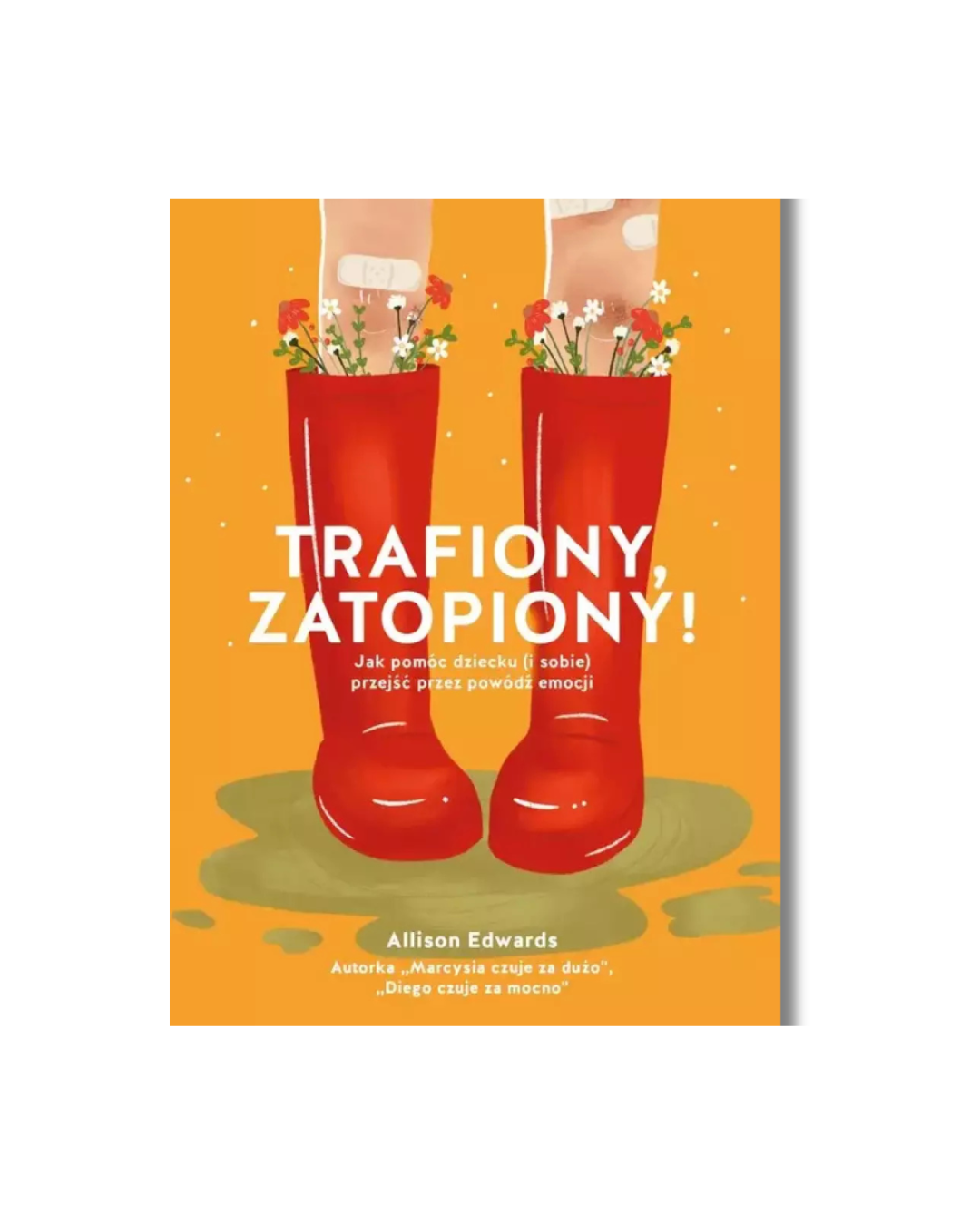 Wydawnictwo Levyz Books - książka poradnik dla dzieci - Trafiony, zatopiony! Jak pomóc dziecku (i sobie) przejść przez powódź emocji
