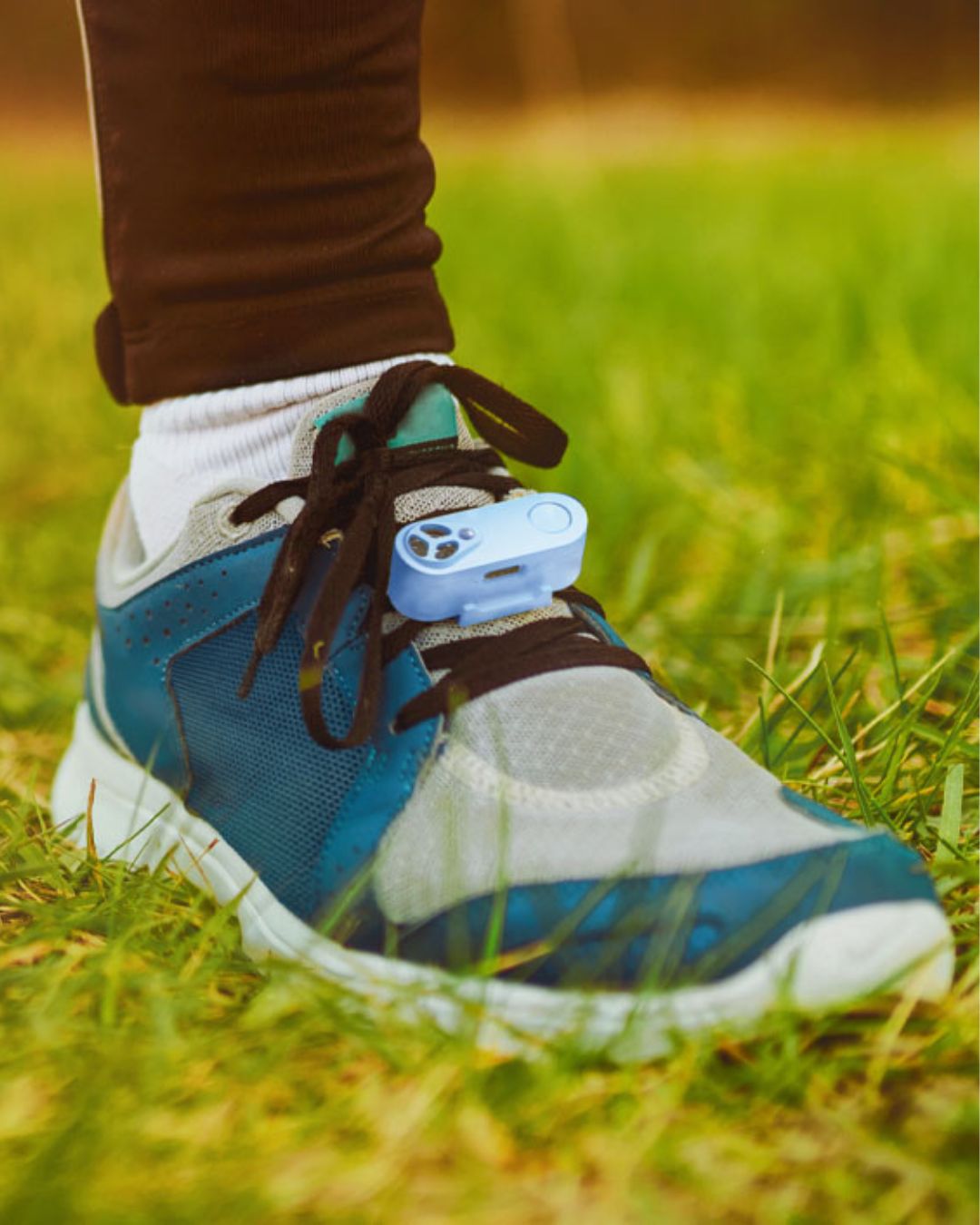 Tickless - Tickless Run Blue