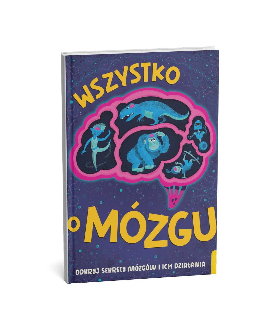 Wydawnictwo Wilga - Wszystko o mózgu