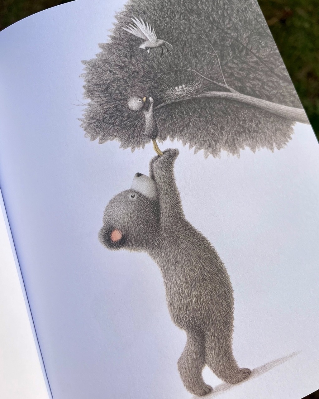 Wydawnictwo Levyz Books - książka poradnik dla dzieci - Małe Cuda Chwile, które dodają dobroci do zadowolenia