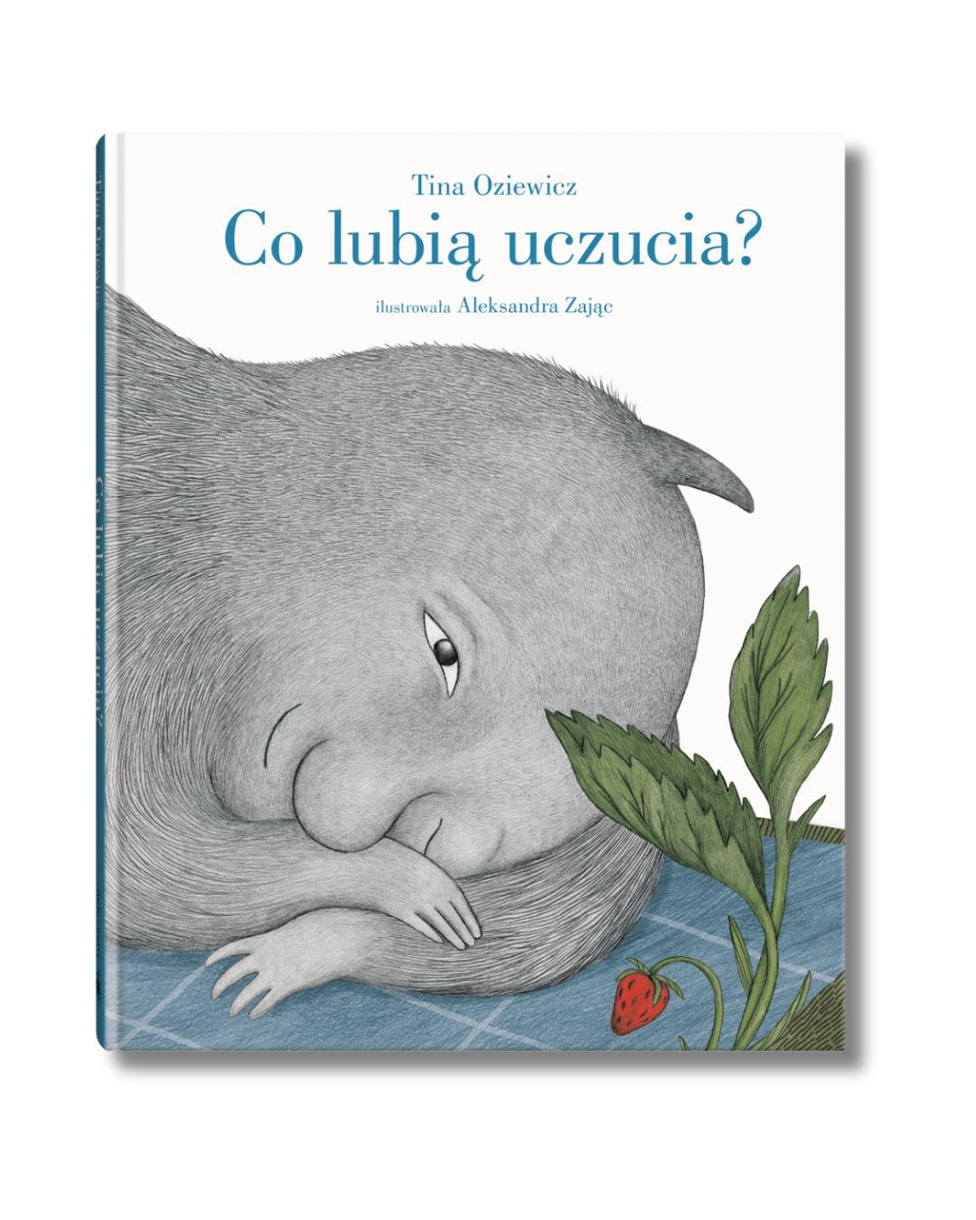 Wydawnictwo Dwie Siostry - Co lubią uczucia
