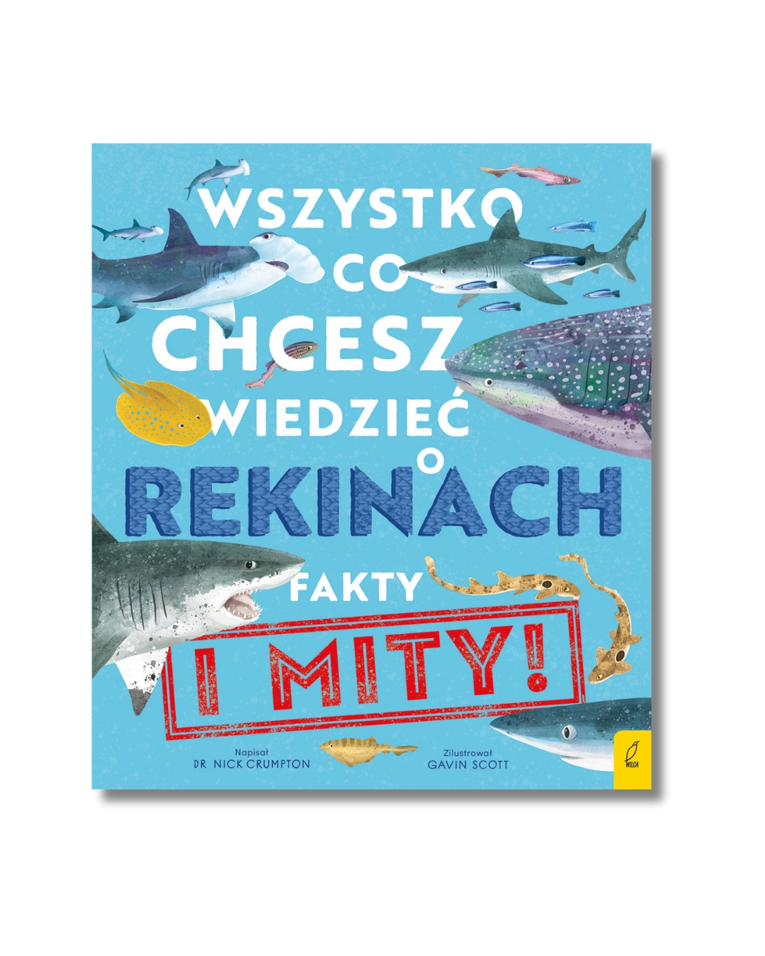Wydawnictwo Wilga - Wszystko, co chcesz wiedzieć o rekinach. Fakty i mity